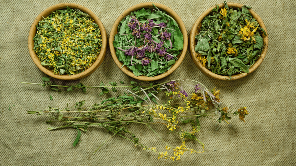 cuencos-de-plantas-medicinales-para-rinones