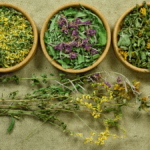 cuencos-de-plantas-medicinales-para-rinones